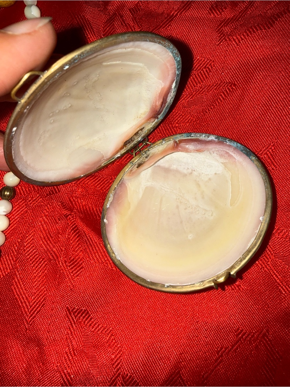 Shell trinket vintage & Cream Shell and stone Bead Necklace - Picture 2 of 4